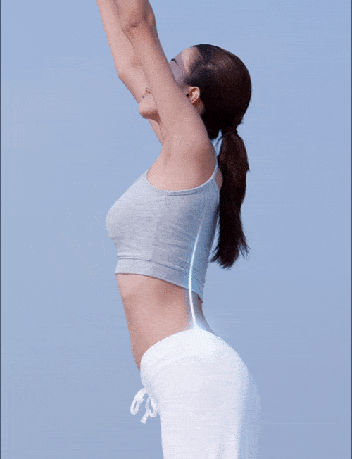 SpineScan spine visualisation